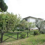 content-gallery-6-large