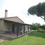 content-gallery-6-large