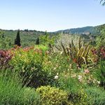 content-gallery-6-large