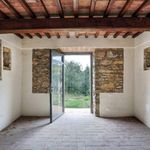 content-gallery-6-large