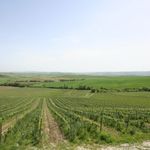 content-gallery-6-large