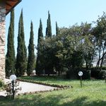 content-gallery-6-large