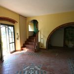 content-gallery-6-large