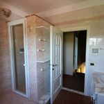 content-gallery-6-large