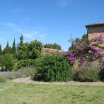 content-gallery-6-large