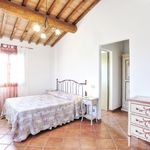 content-gallery-6-large