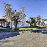 content-gallery-6-large