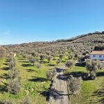 content-gallery-6-large