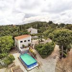 content-gallery-6-large