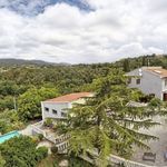 content-gallery-6-large