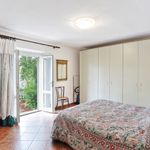 content-gallery-6-large