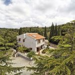 content-gallery-6-large