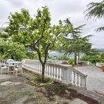 content-gallery-6-large