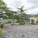 content-gallery-6-large