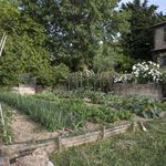 content-gallery-6-large