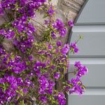 content-gallery-6-large