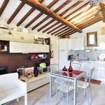 content-gallery-6-large