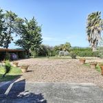 content-gallery-6-large