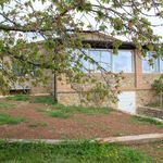 content-gallery-6-large