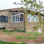 content-gallery-6-large