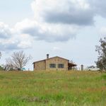 content-gallery-6-large