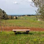 content-gallery-6-large