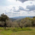 content-gallery-6-large