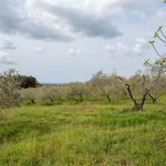 content-gallery-6-large