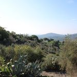 content-gallery-6-large