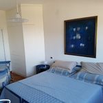 content-gallery-6-large