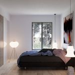 content-gallery-6-large