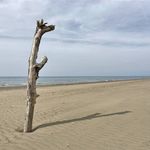 content-gallery-6-large