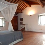 content-gallery-6-large