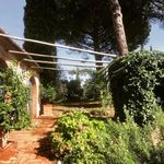 content-gallery-6-large