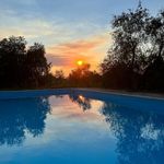 content-gallery-6-large