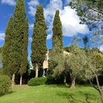 content-gallery-6-large