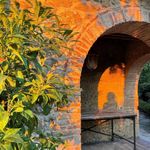 content-gallery-6-large