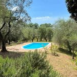 content-gallery-6-large