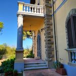 content-gallery-6-large