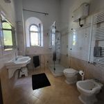 content-gallery-6-large