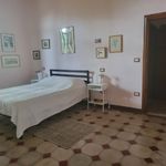 content-gallery-6-large