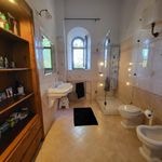 content-gallery-6-large