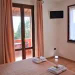 content-gallery-6-large