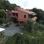 content-gallery-6-large