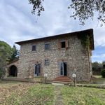 content-gallery-6-large