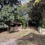 content-gallery-6-large