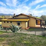 content-gallery-6-large