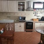 content-gallery-6-large