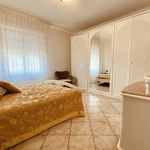 content-gallery-6-large