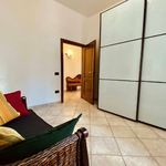 content-gallery-6-large